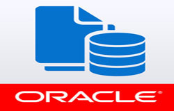 Oracle数据库管理工具有哪些?-北京软件开发公司