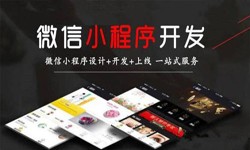 软件开发公司、定制微信小程序开发，商家需要了解哪些？锐智开高软件开发