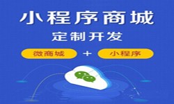 微信小程序开发、商城小程序开发功能-锐智开高软件开发