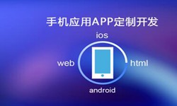 APP开发市场上常见问题分析-北京软件开发公司