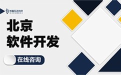 企业成功的关键：理解软件开发及在企业宣传中的应用